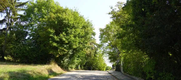 Terreno em Hinterbruhl, Austria 1000 m² N.º 22444 4