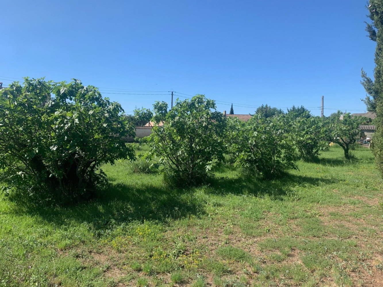  Land in Aubignan, France No. 60962