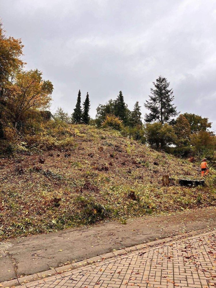  Land in Nurnberger Land, Germany No. 242598