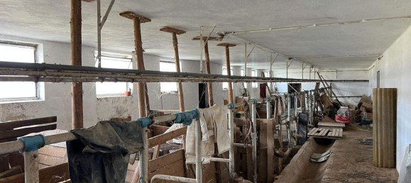 Casa de 7 divisões em Gussing, Austria N.º 76880 16