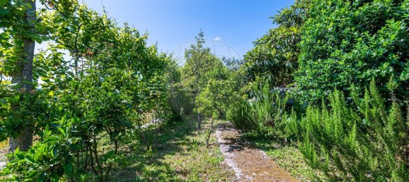 4 غرف نوم منزل في Covide, Portugal رقم 165911 36