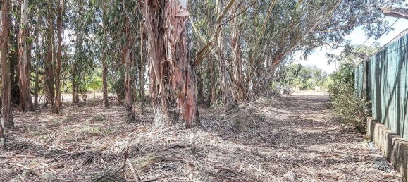 Casa T6 em Pinhal Novo, Portugal N.º 67826 48