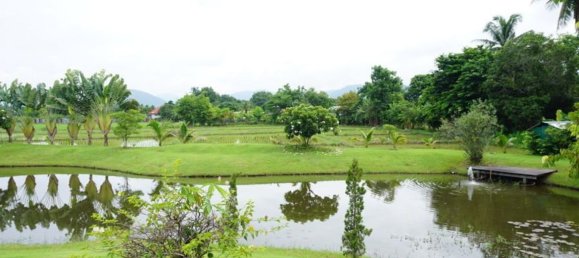 5 bedrooms Cafe / restaurant in Chiang Mai, Thailand No. 21952 24