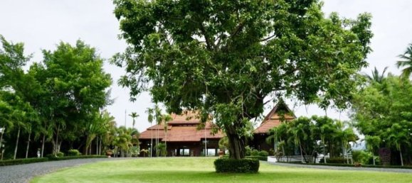 5 bedrooms Cafe / restaurant in Chiang Mai, Thailand No. 21952 3