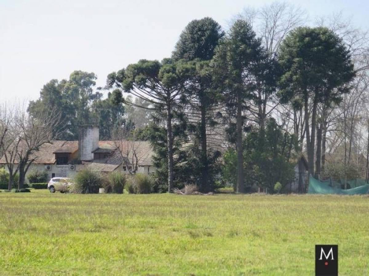 Земельный участок в Пилар, Аргентина № 121034