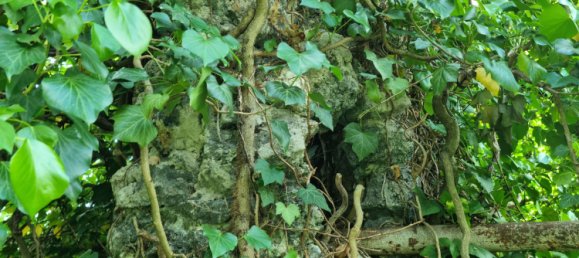 Villa T9 em Borde, Germany N.º 144695 28