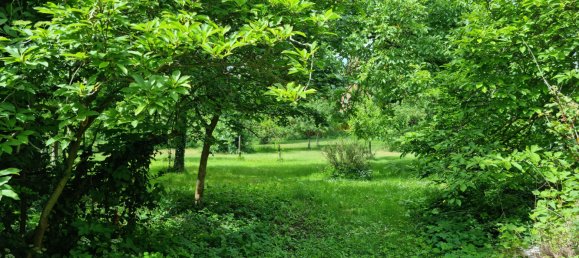 Villa T9 em Borde, Germany N.º 144695 27