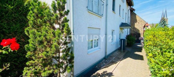 3غرفة شقة في Mainz, Germany رقم 326398 4