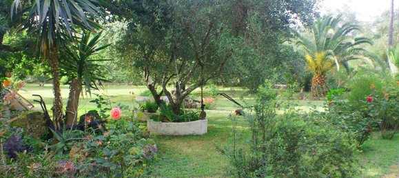 310m² Commercial property in Corfu, Greece No. 7957 13