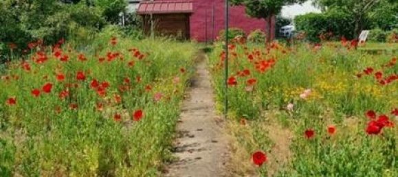 5-salle Maison à Saarpfalz, Germany No. 32803 5