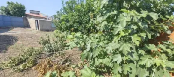 3 bedrooms Apartment in Riolobos, Spain No. 142468 47