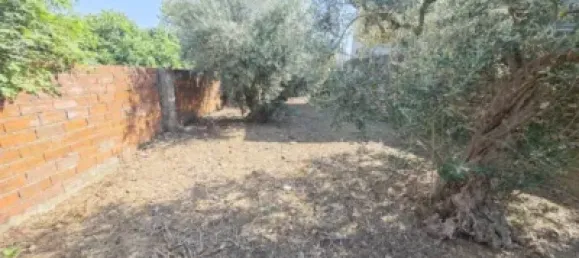 3 bedrooms Apartment in Riolobos, Spain No. 142468 45