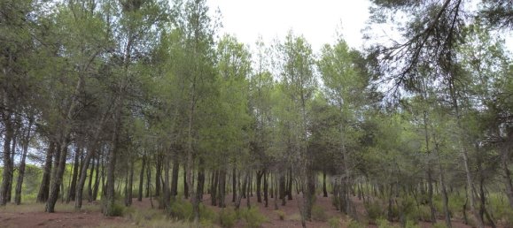 15 غرف نوم منزل في Ibi, Spain رقم 185219 30