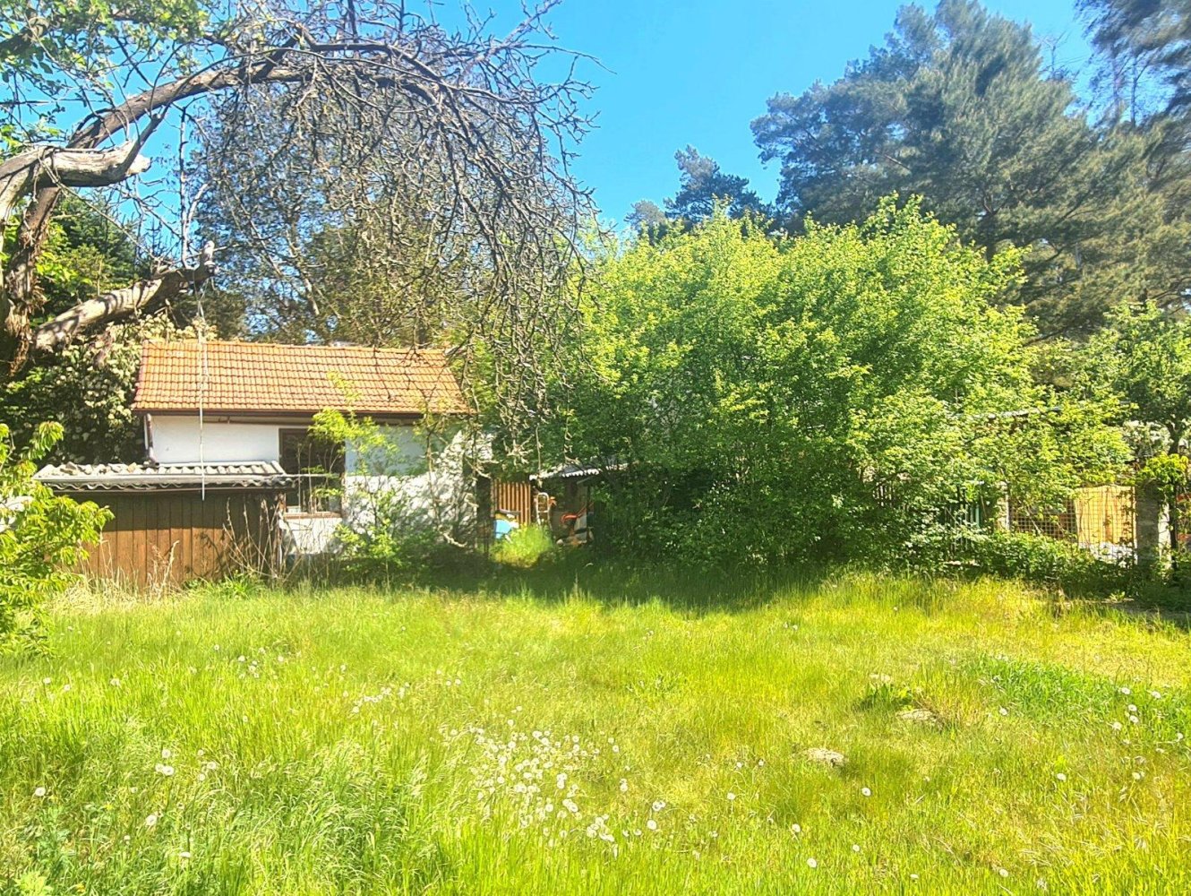 Grundstück in Buch, Germany, Nr. 235973