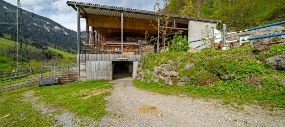 40000m² Land in Dalaas, Austria No. 107533 5