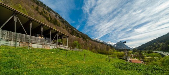 40000m² Land in Dalaas, Austria No. 107533 10