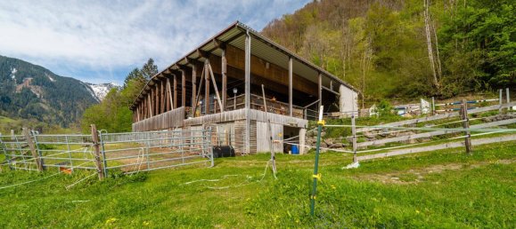 40000m² Land in Dalaas, Austria No. 107533 6