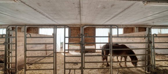 40000m² Land in Dalaas, Austria No. 107533 11