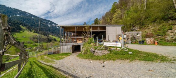 40000m² Land in Dalaas, Austria No. 107533 4