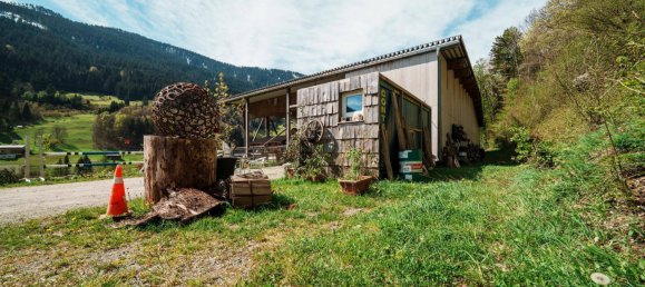 40000m² Land in Dalaas, Austria No. 107533 25