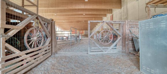 40000m² Land in Dalaas, Austria No. 107533 12