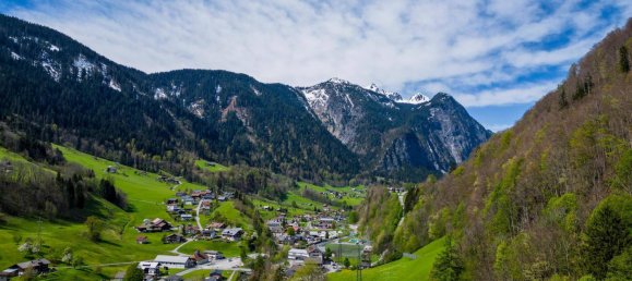 40000m² Land in Dalaas, Austria No. 107533 28