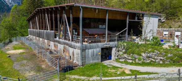 40000m² Land in Dalaas, Austria No. 107533 22