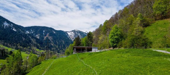 40000m² Land in Dalaas, Austria No. 107533 2