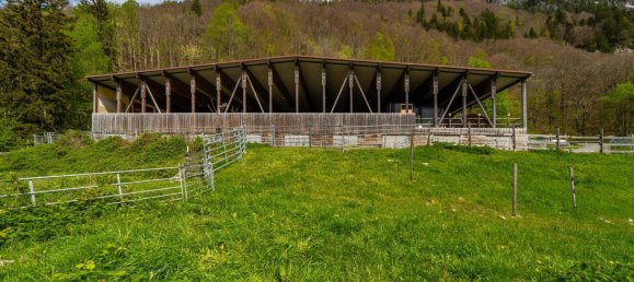 40000m² Land in Dalaas, Austria No. 107533 9