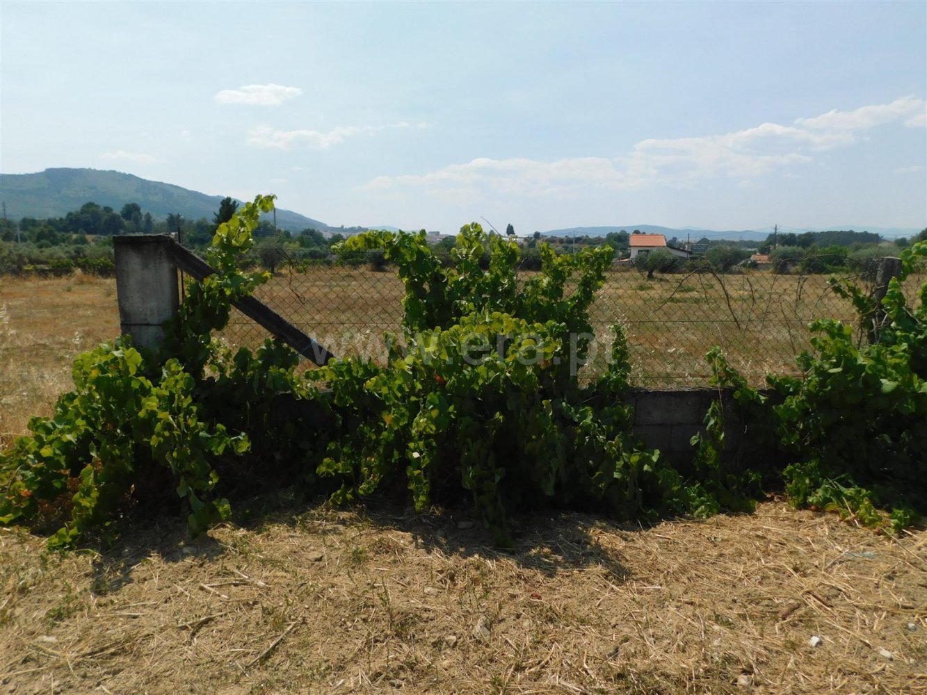  Land in Fundao, Portugal No. 289438