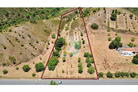 160m² Land in Sao Bartolomeu de Messines, Portugal No. 228516
