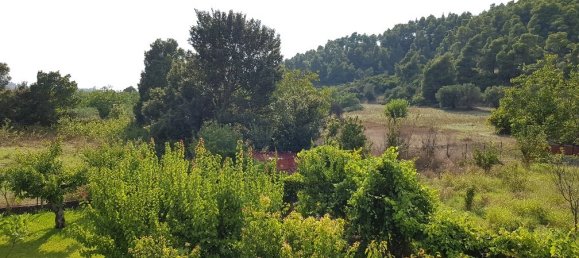 Propriedade comercial T5 em Chalkidiki, Greece N.º 5533 4
