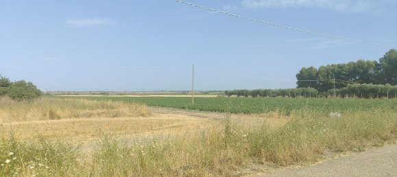 Земельный участок 56000м² в Фоджа, Италия № 270372 8