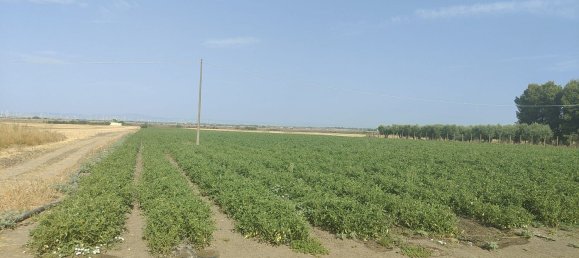 Земельный участок 56000м² в Фоджа, Италия № 270372 5