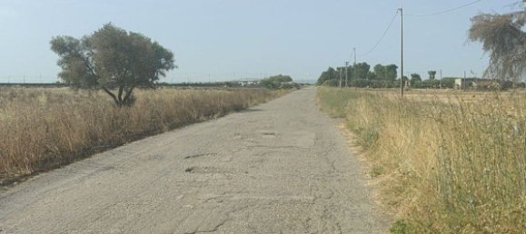 Земельный участок 56000м² в Фоджа, Италия № 270372 2