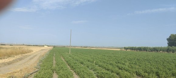 Земельный участок 56000м² в Фоджа, Италия № 270372 4