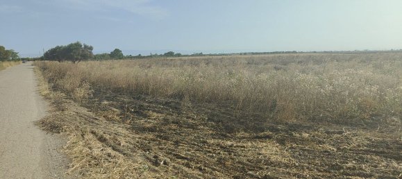 Земельный участок 56000м² в Фоджа, Италия № 270372 6