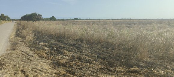 Земельный участок 56000м² в Фоджа, Италия № 270372 7