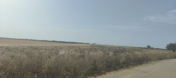 Земельный участок 56000м² в Фоджа, Италия № 270372 11