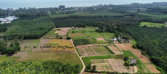 132932m² Land in Phang Nga, Thailand No. 65342 4