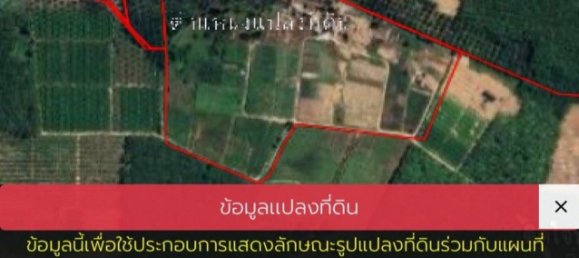 132932m² Land in Phang Nga, Thailand No. 65342 14
