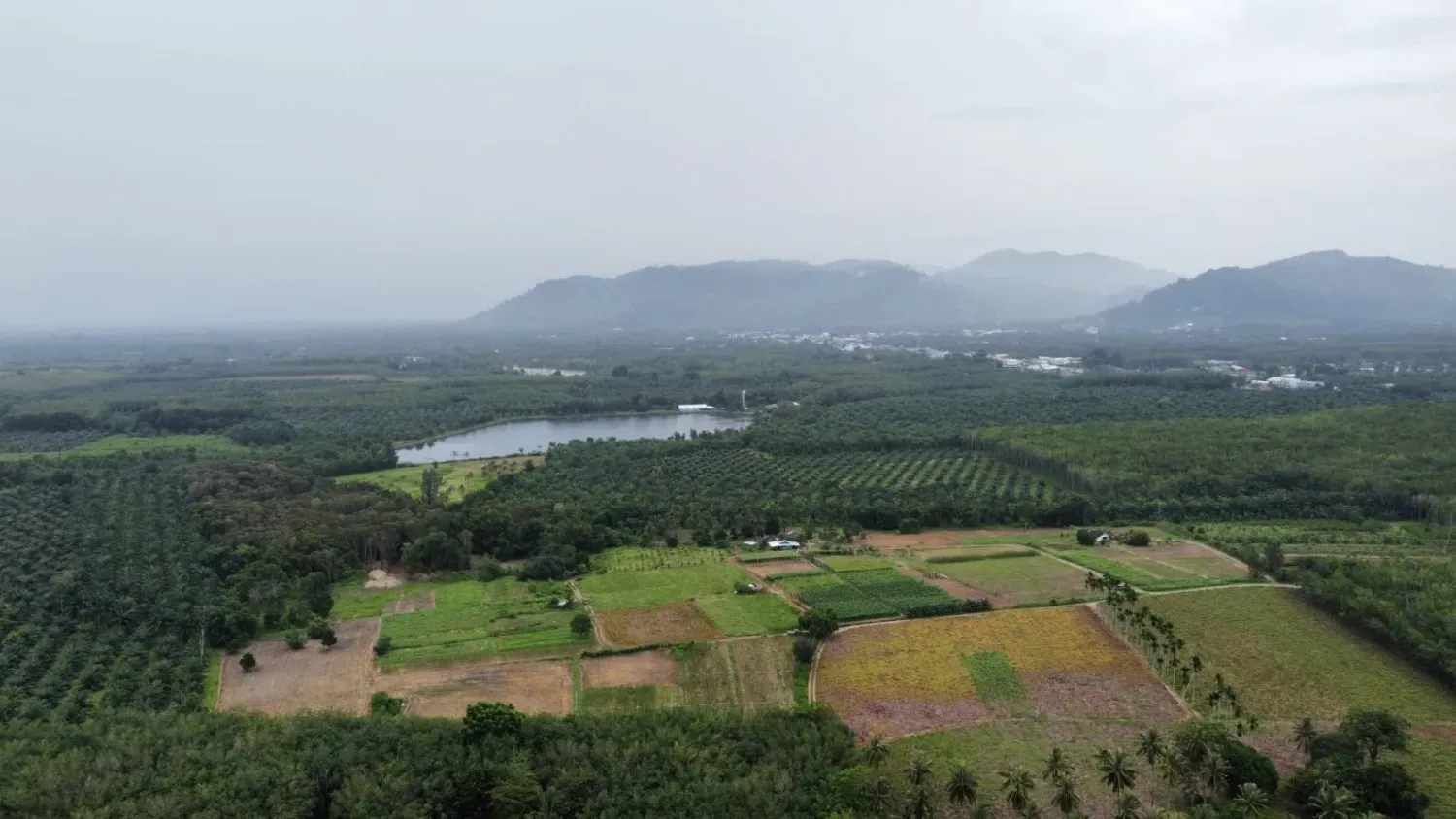 Grundstück in Phang Nga, Thailand 132932m², Nr. 65342