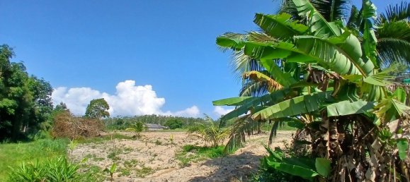 132932m² Land in Phang Nga, Thailand No. 65342 7