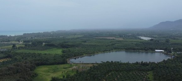 132932m² Land in Phang Nga, Thailand No. 65342 12