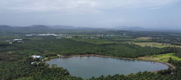 132932m² Land in Phang Nga, Thailand No. 65342 5