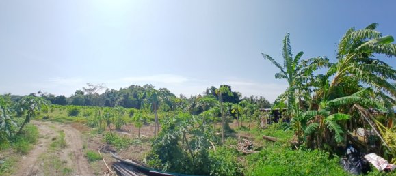 132932m² Land in Phang Nga, Thailand No. 65342 9