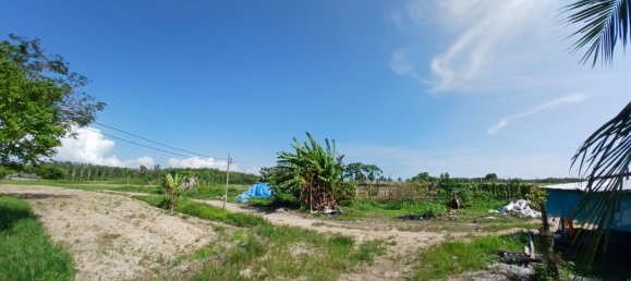 132932m² Land in Phang Nga, Thailand No. 65342 8