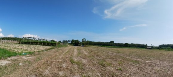 132932m² Land in Phang Nga, Thailand No. 65342 11