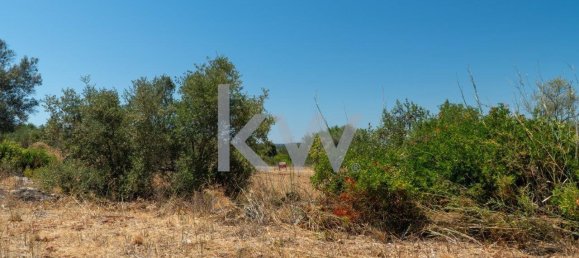 قطعة أرض في Sao Bartolomeu de Messines, Portugal 1280متر مربع رقم 61206 17