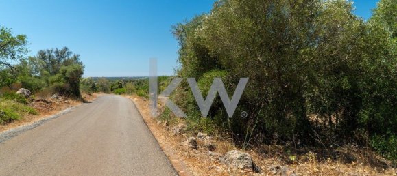 قطعة أرض في Sao Bartolomeu de Messines, Portugal 1280متر مربع رقم 61206 14